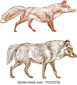 fox and wolf