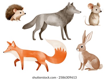 Fox, wolf, bunny, mouse, hedgehog. Watercolor woodland animals. Set of hand drawn wild forest animals. 