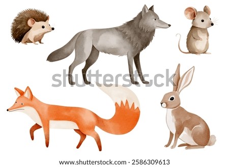 Fox, wolf, bunny, mouse, hedgehog. Watercolor woodland animals. Set of hand drawn wild forest animals. 
