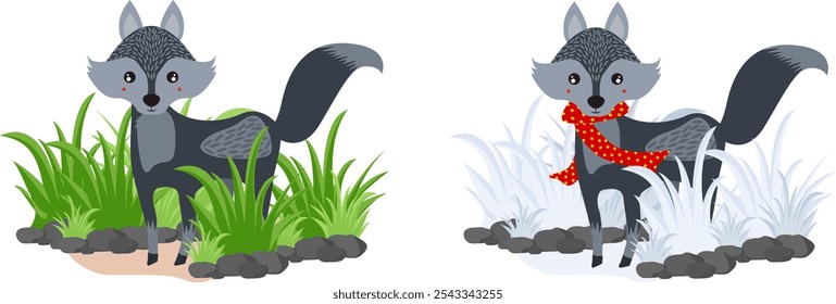 Fox and wolf in winter and summer on meadow