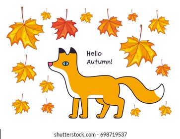 Fox with yellow and red falling maple leaves, hello autumn illustration.