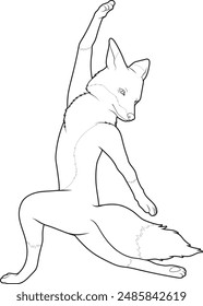 Fox Yoga Fitness Gymnastics Animal Vector Graphic Art Illustration