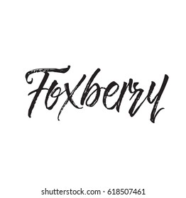 foxberry, text design. Vector calligraphy. Typography poster. Usable as background.