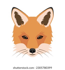 Cara o cabeza de zorros. Icono de Fox roja salvaje aislado en fondo blanco. Ilustración vectorial o caricatura.