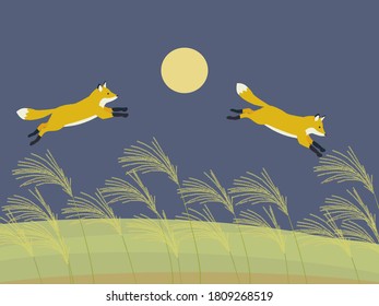 Los zorros están saltando en la noche de luna llena.
