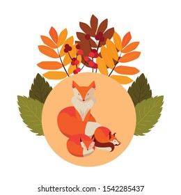 foxes mammal happy autumn season vector illustration