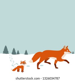 foxes run on a snow field