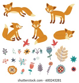 Foxes set. Vector collection