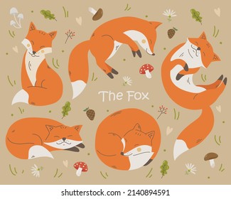 Foxes sleep in the forest. Flat style, pastel colors. Mushrooms, berries, leaves, forest animal character. Pattern vector