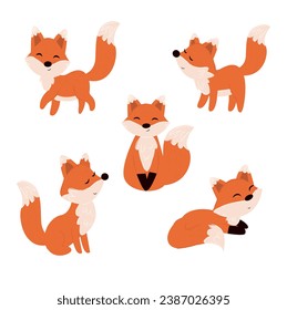 foxes   vector