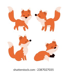 foxes   vector