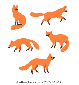 Foxes. Vector illustration. Wild animals. Flat style