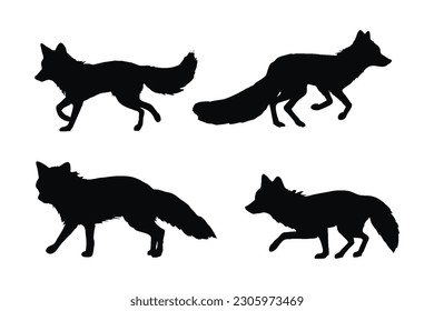 Füchse gehen verschiedene Positionen, Silhouette Set Vektor. Erwachsene Fox-Silhouette-Kollektion auf weißem Hintergrund. Fleischfresser wie Füchse, Jacken und Varminze Ganzkörpersilhouettenpackungen.