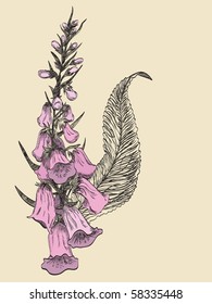 Foxglove in antique style