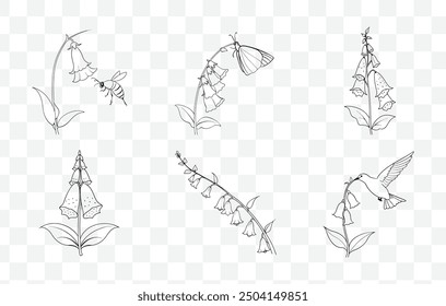 Foxglove Flower Line Art Vector Set Botanical Floral Illustrations Collection of Foxglove Flowers in Detailed Line Art Style