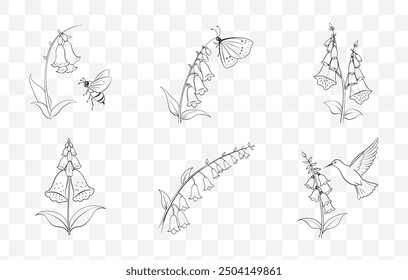 Foxglove Flower Line Art Vector Set Botanical Floral Illustrations Collection of Foxglove Flowers in Detailed Line Art Style