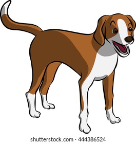 a foxhound