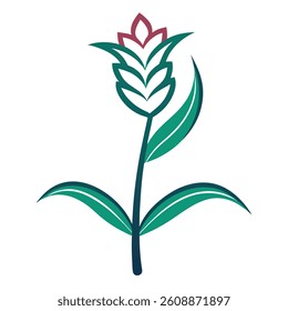 foxtail flower vector image on white background