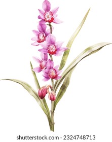 Foxtail Orchid Watercolor illustration. Hand drawn underwater element design. Artistic vector marine design element. Illustration for greeting cards, printing and other design projects.