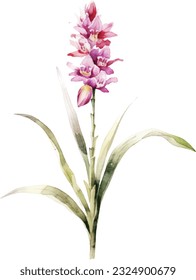 Foxtail Orchid Aquarell Illustration. Handgezeichnet Unterwasserelement-Design. Künstlerische Vektorgrafik-Design-Element. Illustration für Grußkarten, Druck und andere Design-Projekte.