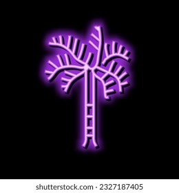 foxtail palm tree neon light sign vector. foxtail palm tree sign. isolated symbol illustration