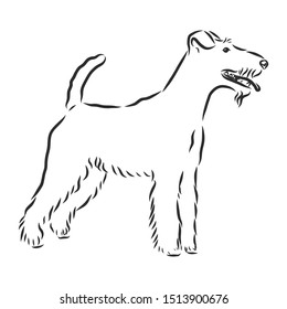 foxterrier dog  sketch, contour vector illustration 