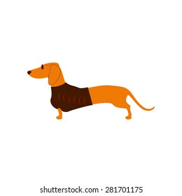 Foxy colored dachshund in glasses with dark lenses and red frame and brown waistcoat decorated with red pattern isolated on white background. Logo template, design element