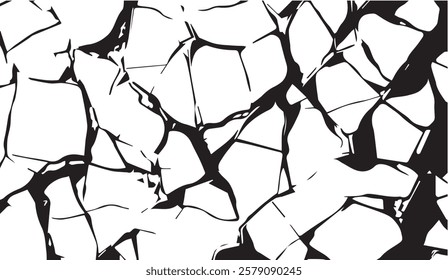 Fractured Surface, A Black and White Abstract Pattern Evoking Broken Stone or Shattered Glass with Sharp Edges and Interconnected Pieces,