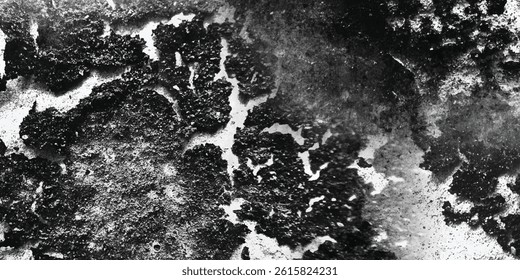 The Fragile Beauty of a World In Constant Erosion

