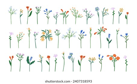 Fragile flowers set. Floral stem, spring and summer plants. Abstract field and meadow blooms, wildflowers. Botanical natural design elements. Flat vector illustrations isolated on white background