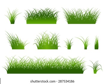 Fragment of a beautiful green grass  isolated on a white, Vector illustration