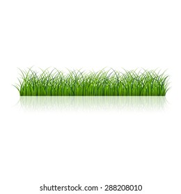 Fragment of beautiful green grass  isolated on a white, Vector illustration