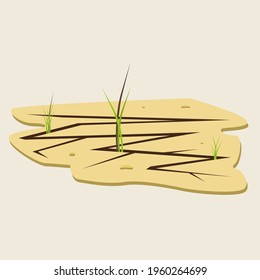 Fragment of the desert. Drought, a crack in the ground and a young sprout. Strength and power of nature. The green plant grows through dry ground. Desert, sand and environment. Tropical landscape.