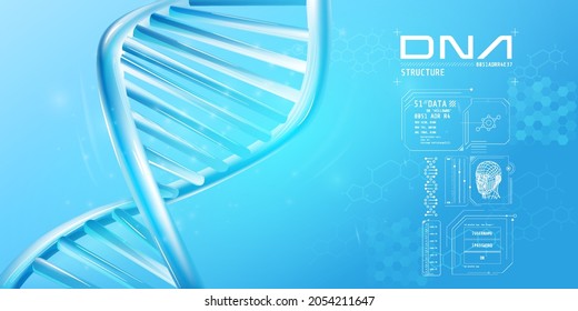 Fragment Of Double Helix DNA With Infographic Elements.