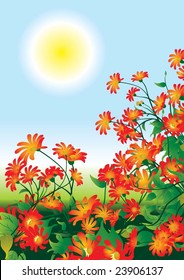 fragment of the floral field