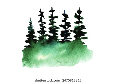 Fragment of forest painted in watercolor. Vector illustration of green firs trees on watercolor stain. Hand drawn nature image, pine trees.