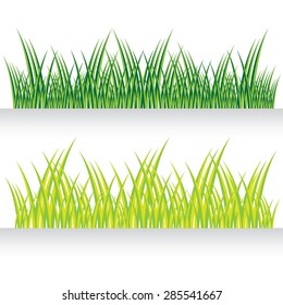 Fragment of a green grass