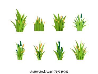 Fragment of green grass.