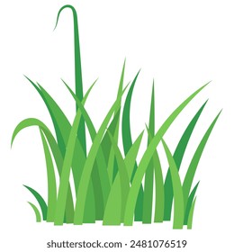 Fragment of a green grass isolated on a white. Vector illustration in flat style