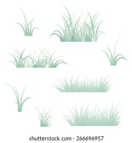 Fragment of a green grass. Vector illustration, isolated on a white.