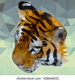 Fragment of the head of a tiger with strips, spots, triangles. It is executed against from triangles. 