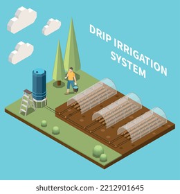 Fragment of kitchen garden with beds equipped with plastic protection and drip irrigation system isometric vector illustration