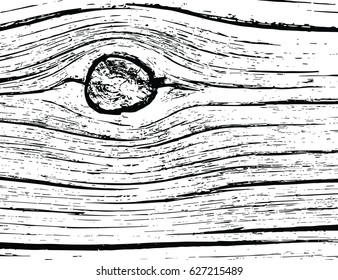 fragment of an old tree with a knot 
