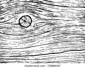fragment of an old tree with a knot