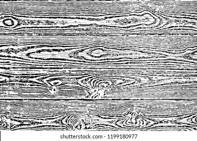 Fragment of an old tree with a knot ,invoice of wood.Vector background,preparation for design,texture of a board,wood veneer.