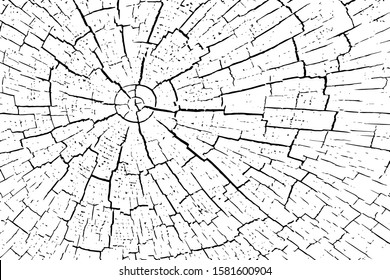 Fragment of an old tree with a knot ,invoice of wood.Vector background,preparation for design,texture of a board,wood veneer.