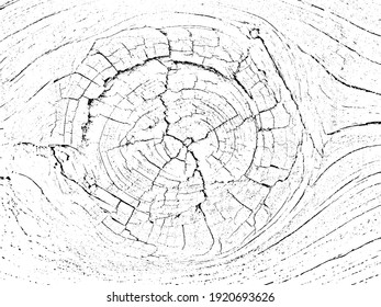 Fragment of an old tree with a knot, invoice of wood.