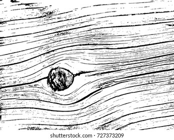 fragment of an old tree with a knot vector
