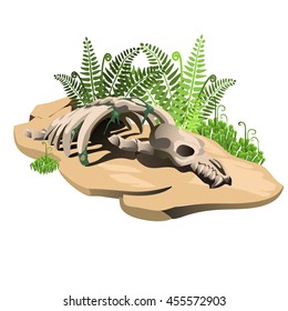 A fragment of the skeleton of the ancient animal fossil on land isolated on white background. Vector cartoon close-up illustration.