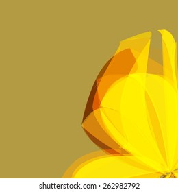 fragment of the yellow flower